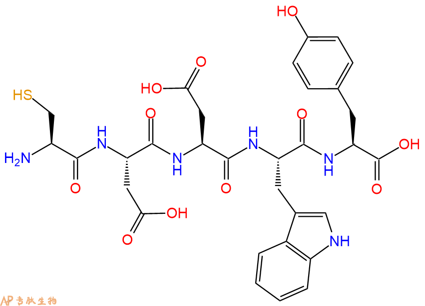 专肽生物产品H2N-Cys-Asp-Asp-Trp-Tyr-COOH