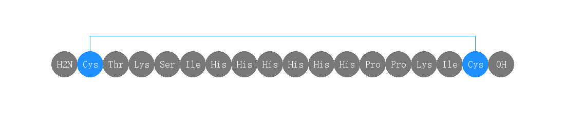 专肽生物产品H2N-Cys-Thr-Lys-Ser-Ile-His-His-His-His-His-His-Pr