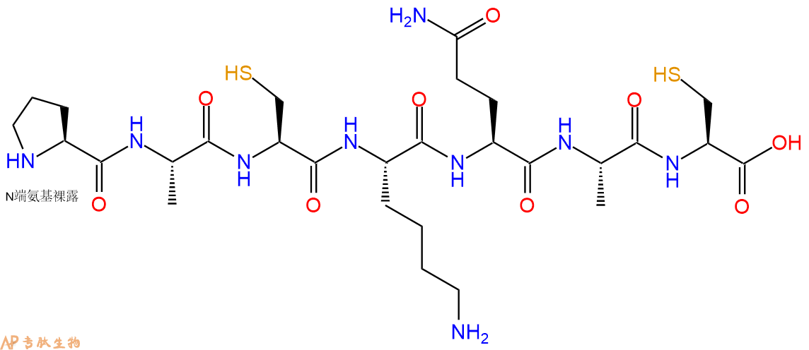 专肽生物产品H2N-Pro-Ala-Cys-Lys-Gln-Ala-Cys-COOH
