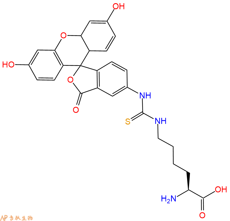 专肽生物产品H2N-Lys(Fitc)-COOH