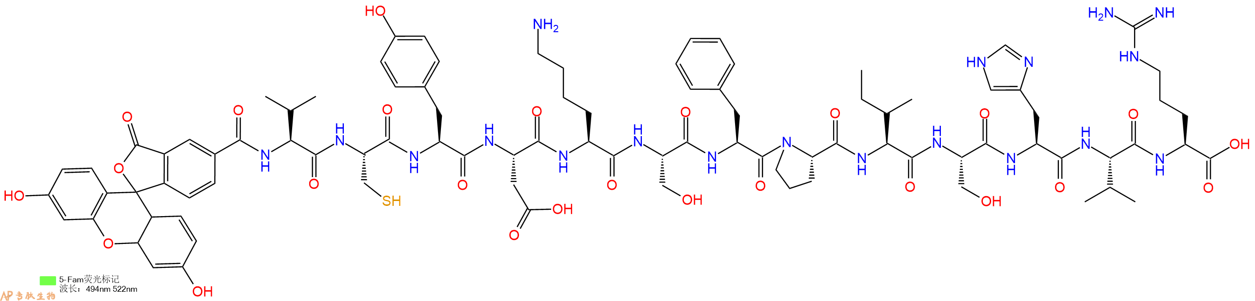 专肽生物产品5FAM-Val-Cys-Tyr-Asp-Lys-Ser-Phe-Pro-Ile-Ser-His-V