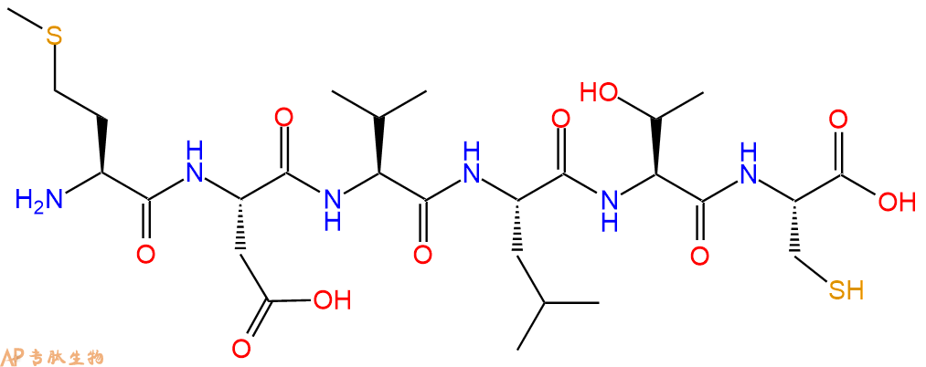 专肽生物产品H2N-Met-Asp-Val-Leu-Thr-Cys-COOH