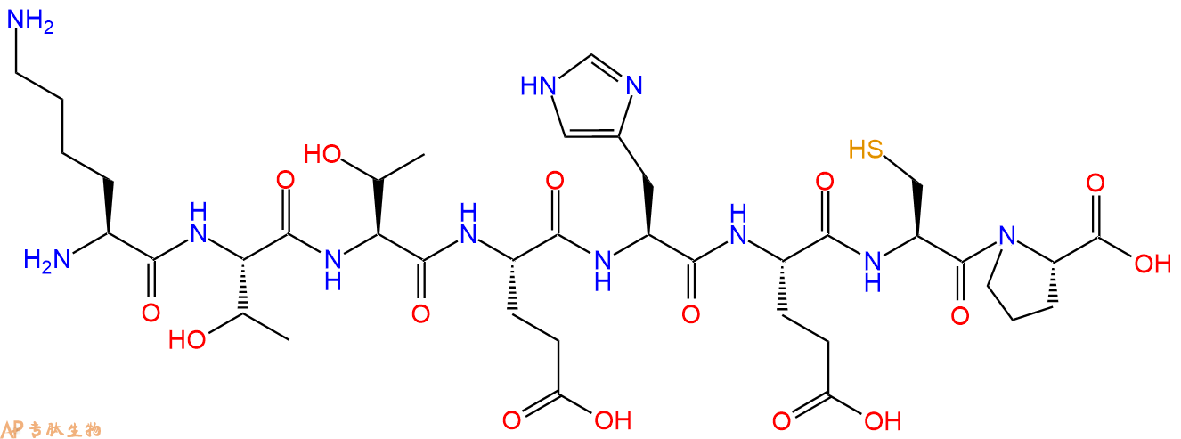 专肽生物产品H2N-Lys-Thr-Thr-Glu-His-Glu-Cys-Pro-COOH