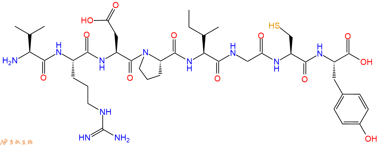 专肽生物产品H2N-Val-Arg-Asp-Pro-Ile-Gly-Cys-Tyr-COOH