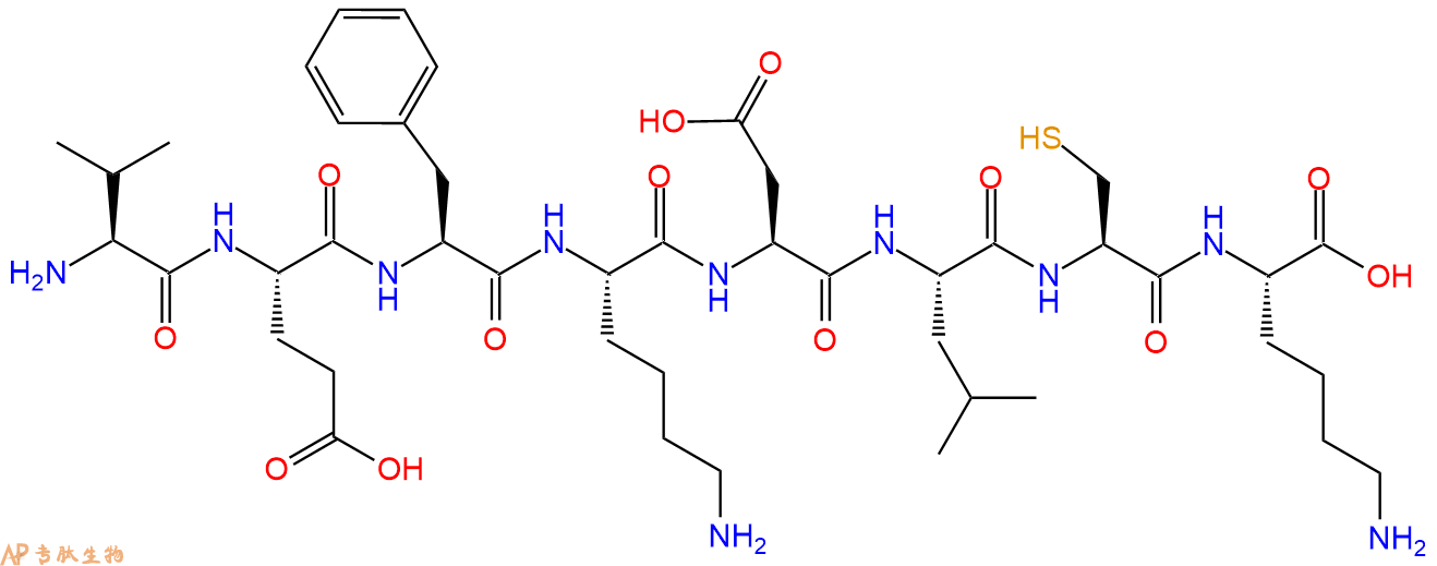 专肽生物产品H2N-Val-Glu-Phe-Lys-Asp-Leu-Cys-Lys-COOH