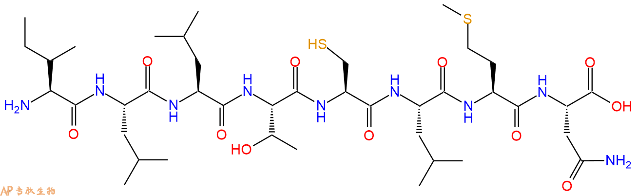 专肽生物产品H2N-Ile-Leu-Leu-Thr-Cys-Leu-Met-Asn-COOH