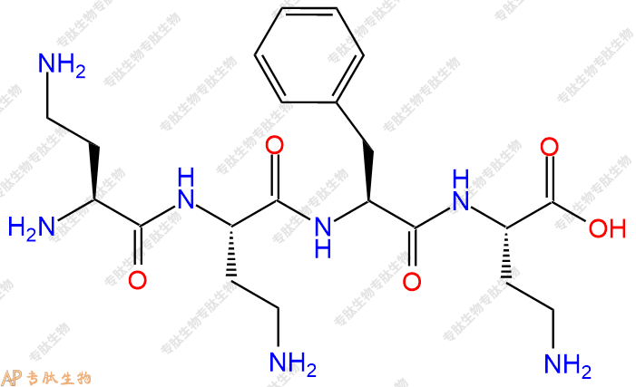 专肽生物产品H2N-Dab-Dab-Phe-Dab-COOH