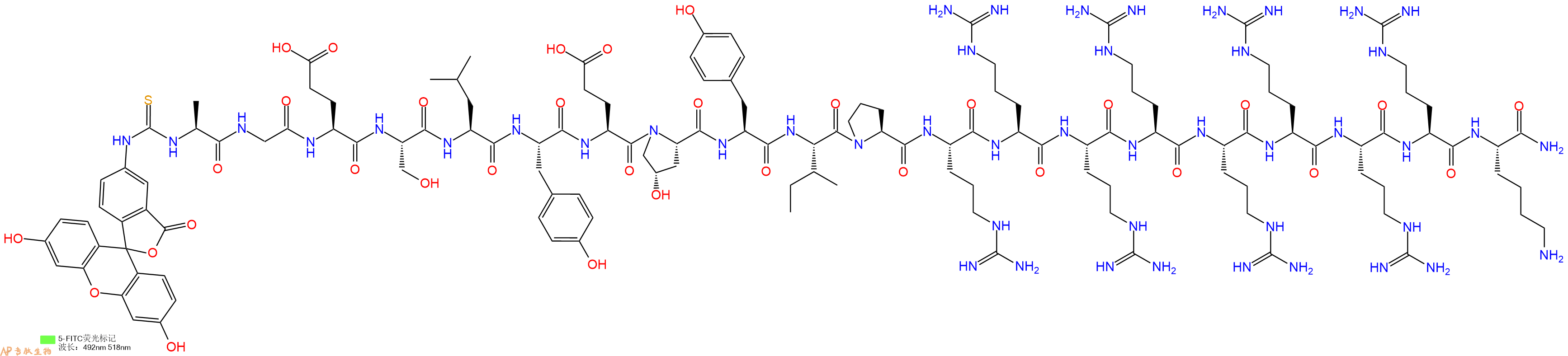 专肽生物产品5FITC-Ala-Gly-Glu-Ser-Leu-Tyr-Glu-Hyp-Tyr-Ile-Pro-