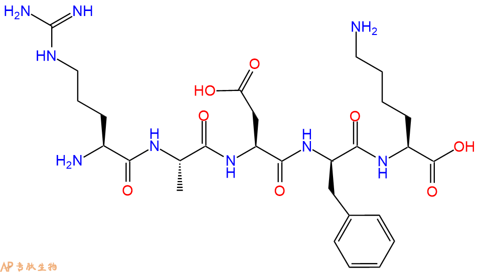 专肽生物产品H2N-Arg-Ala-Asp-DPhe-Lys-COOH