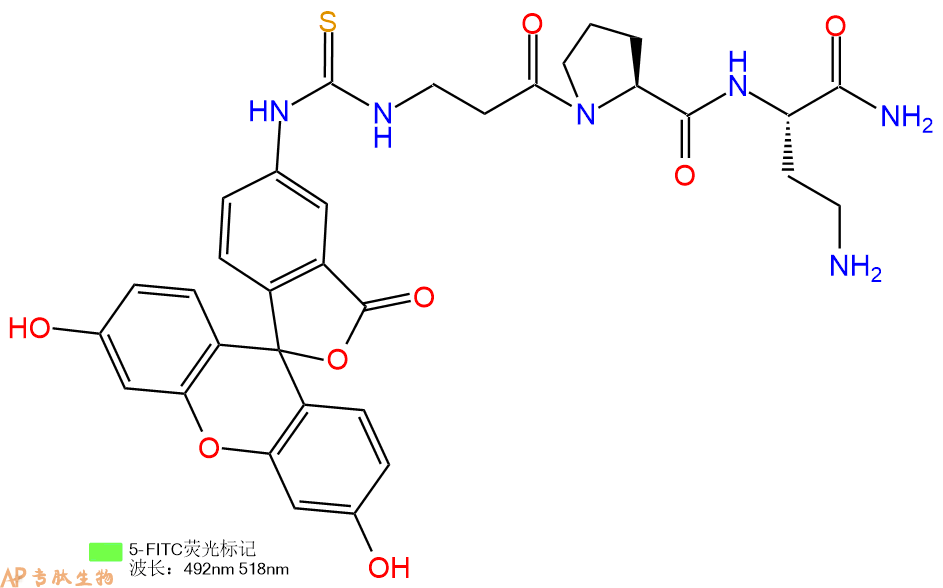 专肽生物产品5FITC-βAla-Pro-Dab-NH2