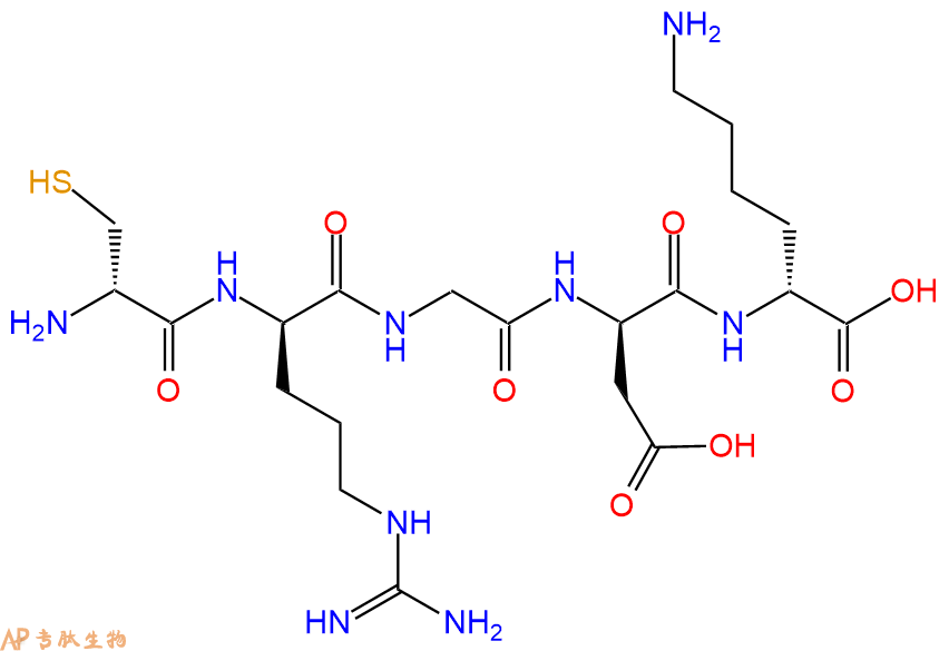 专肽生物产品H2N-DCys-DArg-Gly-DAsp-DLys-COOH