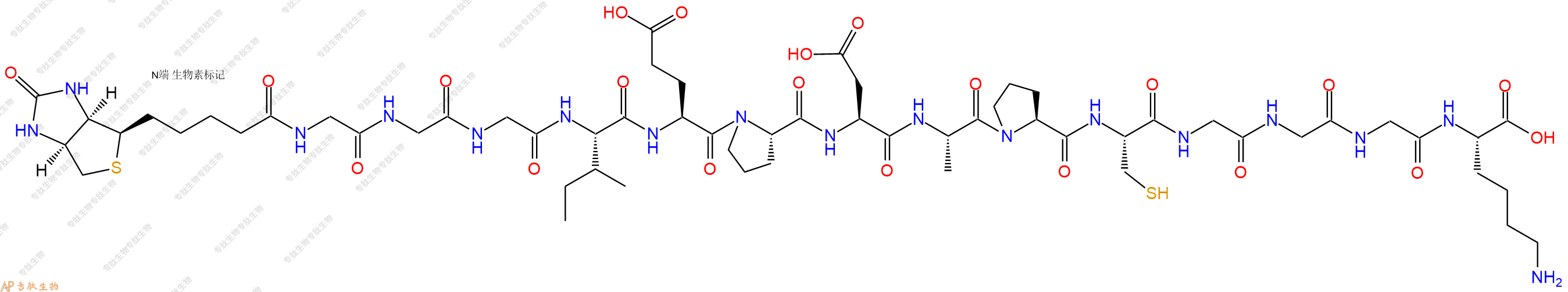 专肽生物产品Biotin-Gly-Gly-Gly-Ile-Glu-Pro-Asp-Ala-Pro-Cys-Gly