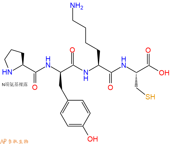 专肽生物产品H2N-Pro-DTyr-Lys-Cys-COOH
