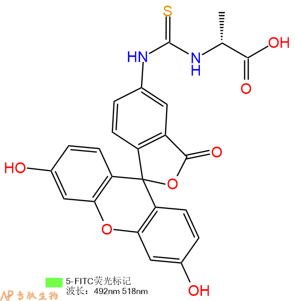 专肽生物产品5FITC-DAla-COOH