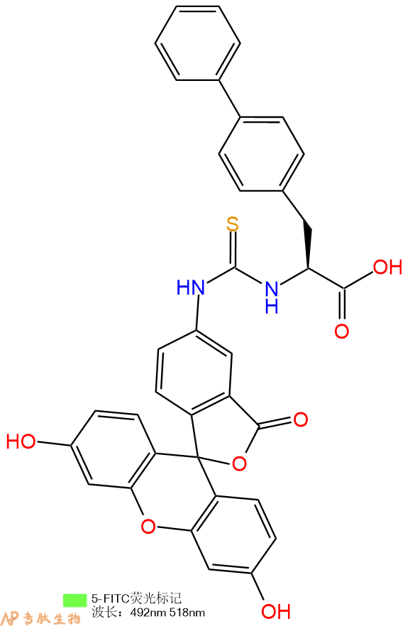 专肽生物产品5FITC-Bip-COOH