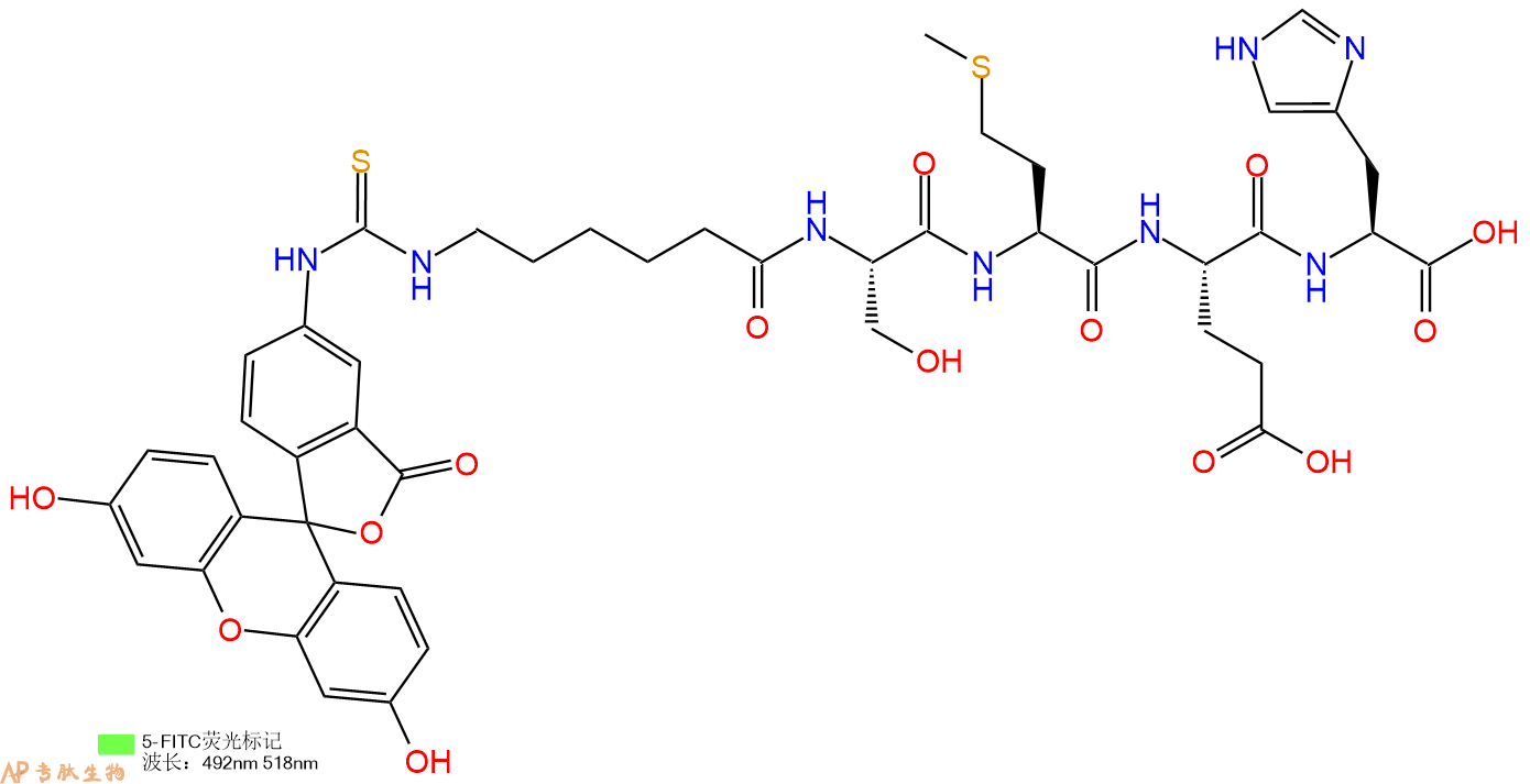 专肽生物产品5FITC-Ahx-Ser-Met-Glu-His-COOH