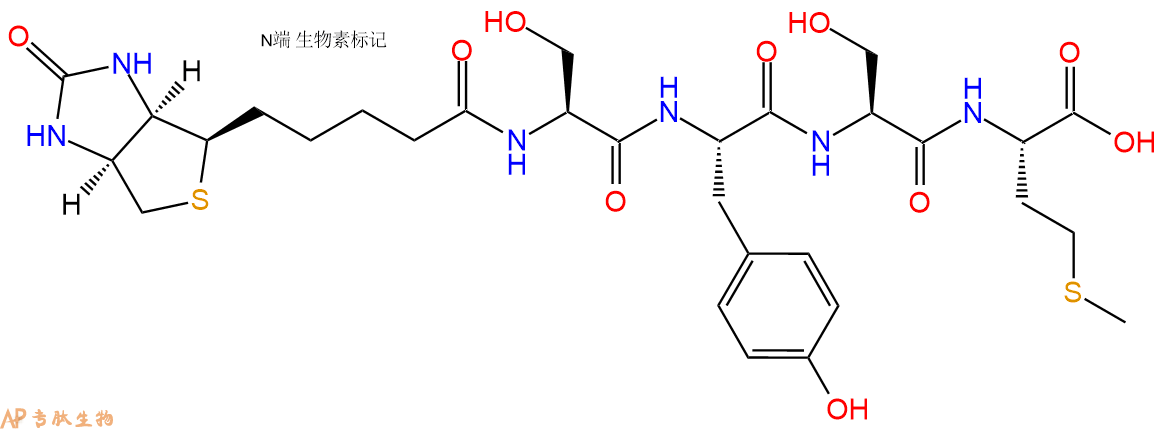 专肽生物产品Biotin-Ser-Tyr-Ser-Met-COOH