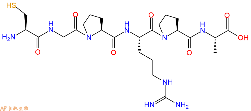 专肽生物产品H2N-Cys-Gly-Pro-Arg-Pro-Ala-COOH