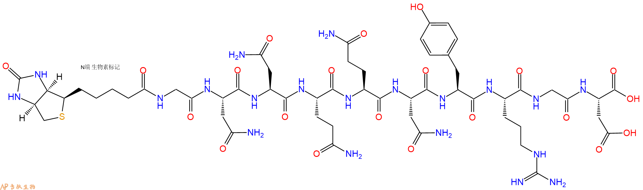 专肽生物产品Biotin-Gly-Asn-Asn-Gln-Gln-Asn-Tyr-Arg-Gly-Asp-COOH