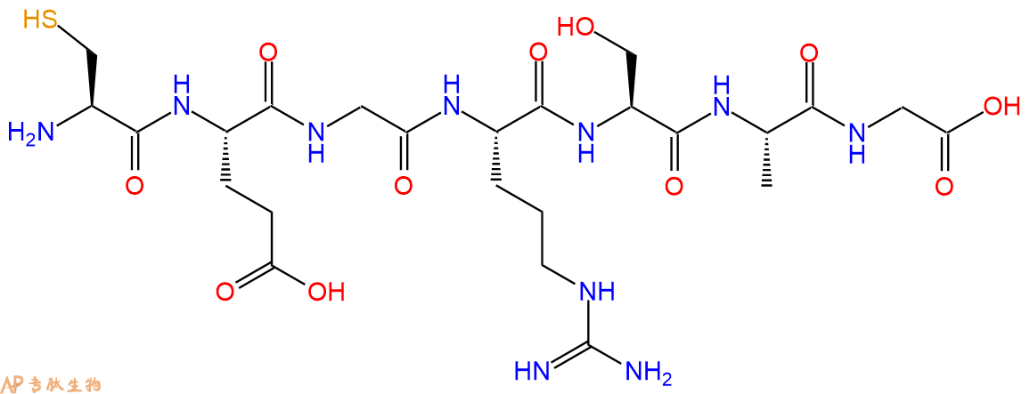 专肽生物产品H2N-Cys-Glu-Gly-Arg-Ser-Ala-Gly-COOH