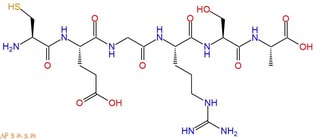 专肽生物产品H2N-Cys-Glu-Gly-Arg-Ser-Ala-COOH