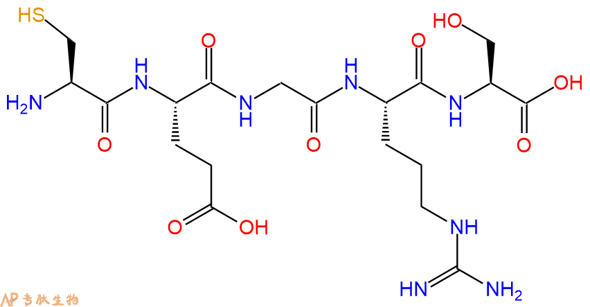 专肽生物产品H2N-Cys-Glu-Gly-Arg-Ser-COOH