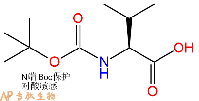 专肽生物产品Boc-Val-COOH