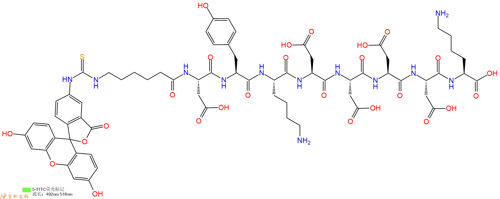 专肽生物产品5FITC-Ahx-Asp-Tyr-Lys-Asp-Asp-Asp-Asp-Lys-COOH