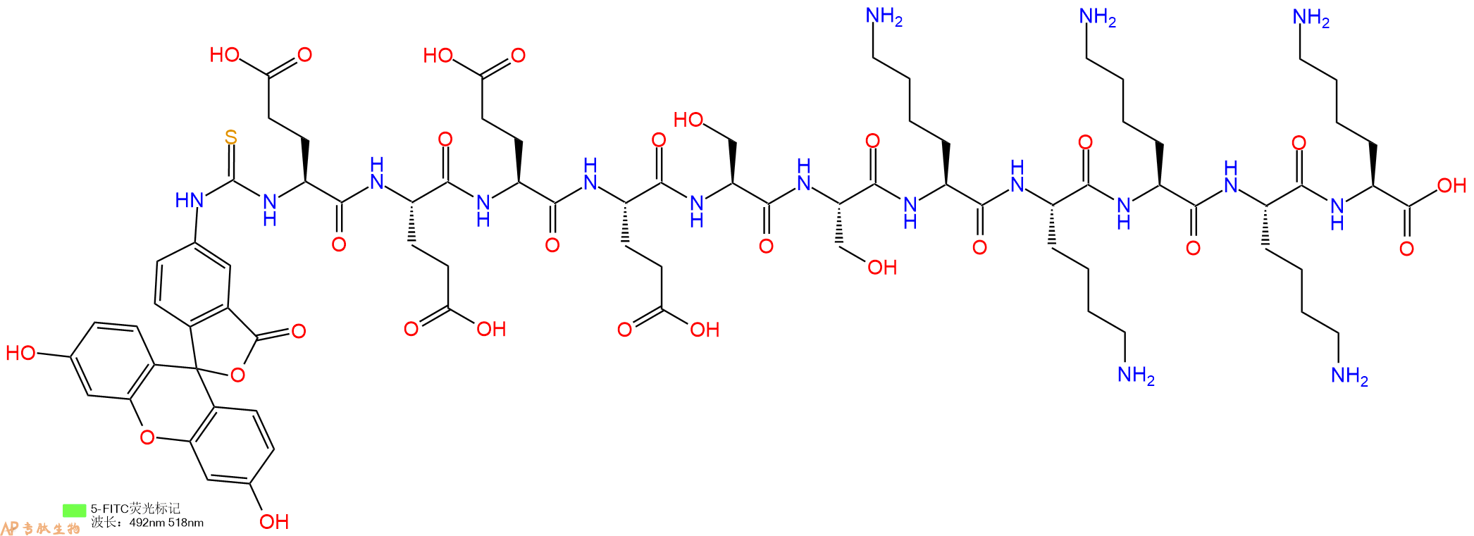 专肽生物产品5FITC-Glu-Glu-Glu-Glu-Ser-Ser-Lys-Lys-Lys-Lys-Lys-COOH