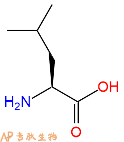 专肽生物产品H2N-Leu-COOH