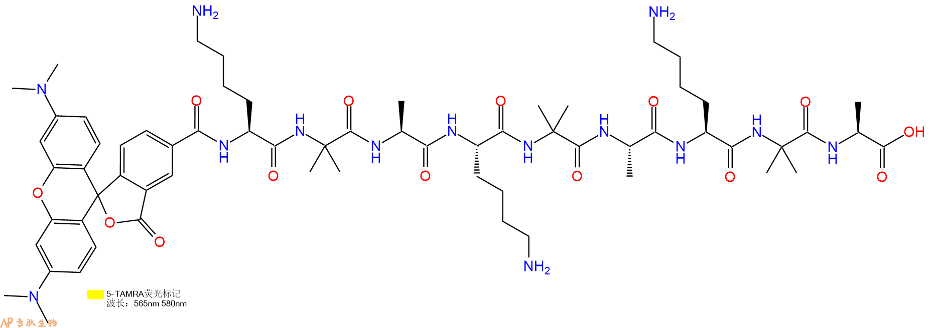 专肽生物产品5TAMRA-Lys-Aib-Ala-Lys-Aib-Ala-Lys-Aib-Ala-COOH