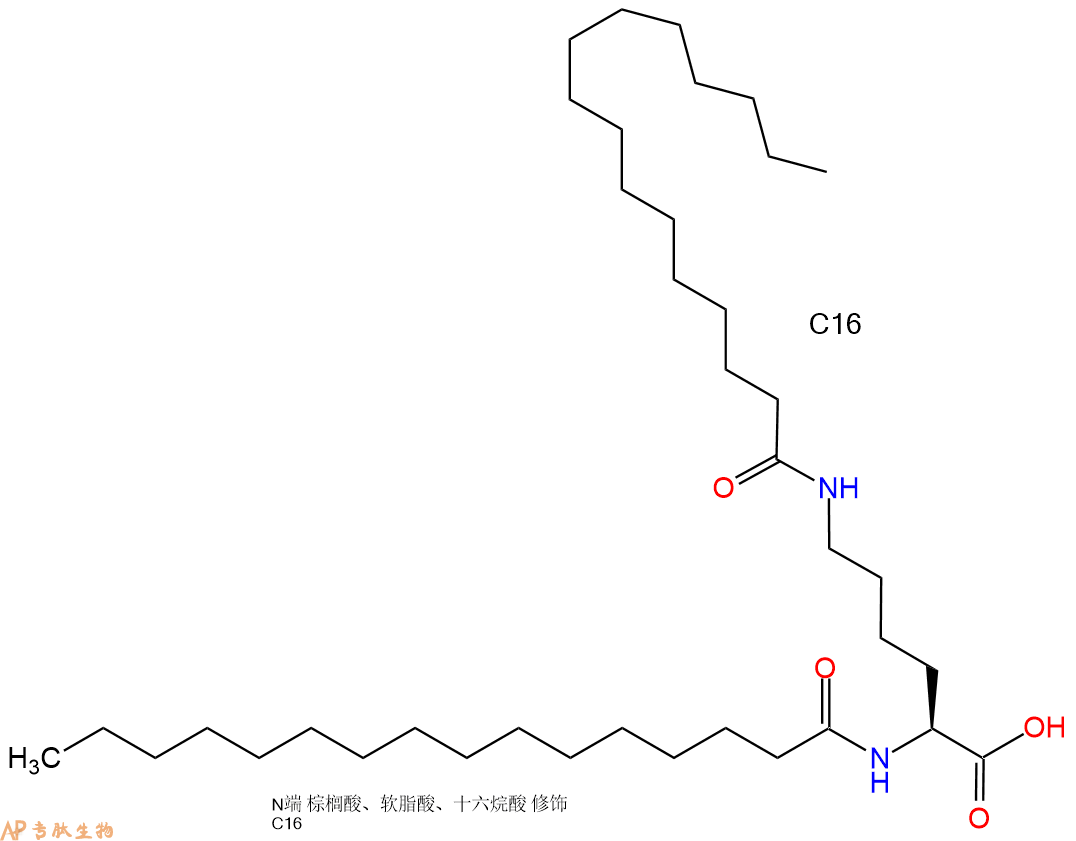 专肽生物产品Palmiticacid-Lys(C16)-COOH