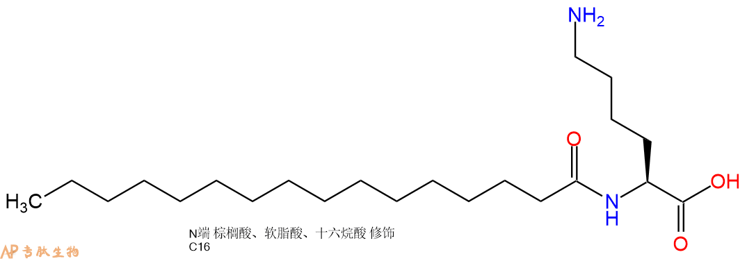 专肽生物产品Palmiticacid-Lys-COOH