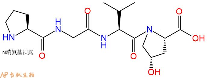 专肽生物产品H2N-Pro-Gly-Val-Hyp-COOH