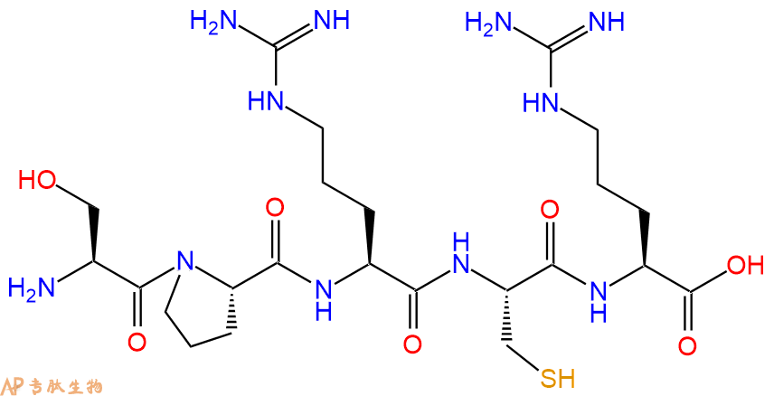 专肽生物产品H2N-Ser-Pro-Arg-Cys-Arg-COOH