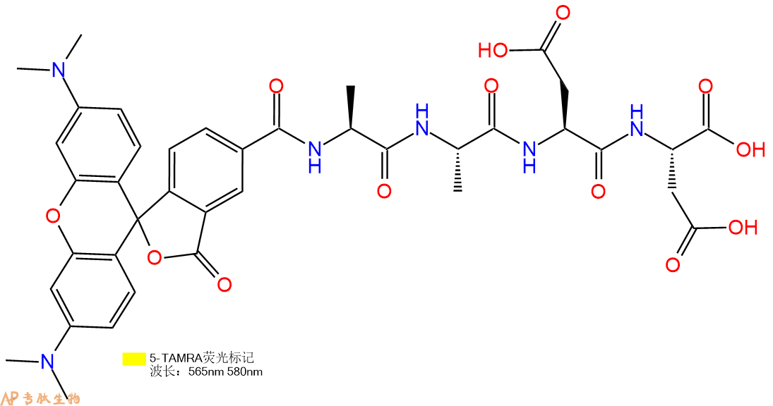 专肽生物产品5TAMRA-Ala-Ala-Asp-Asp-COOH