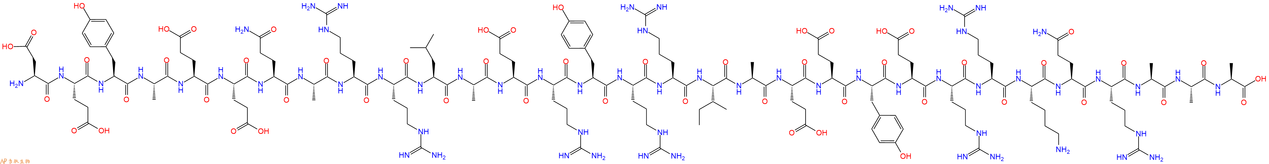 专肽生物产品H2N-Asp-Glu-Tyr-Ala-Glu-Glu-Gln-Ala-Arg-Arg-Leu-Ala-Glu-Arg-Tyr-Arg-Arg-Ile-Ala-Glu-Glu-Tyr-Glu-Arg-Arg-Lys-Gln-Arg-Ala-Ala-Ala-COOH