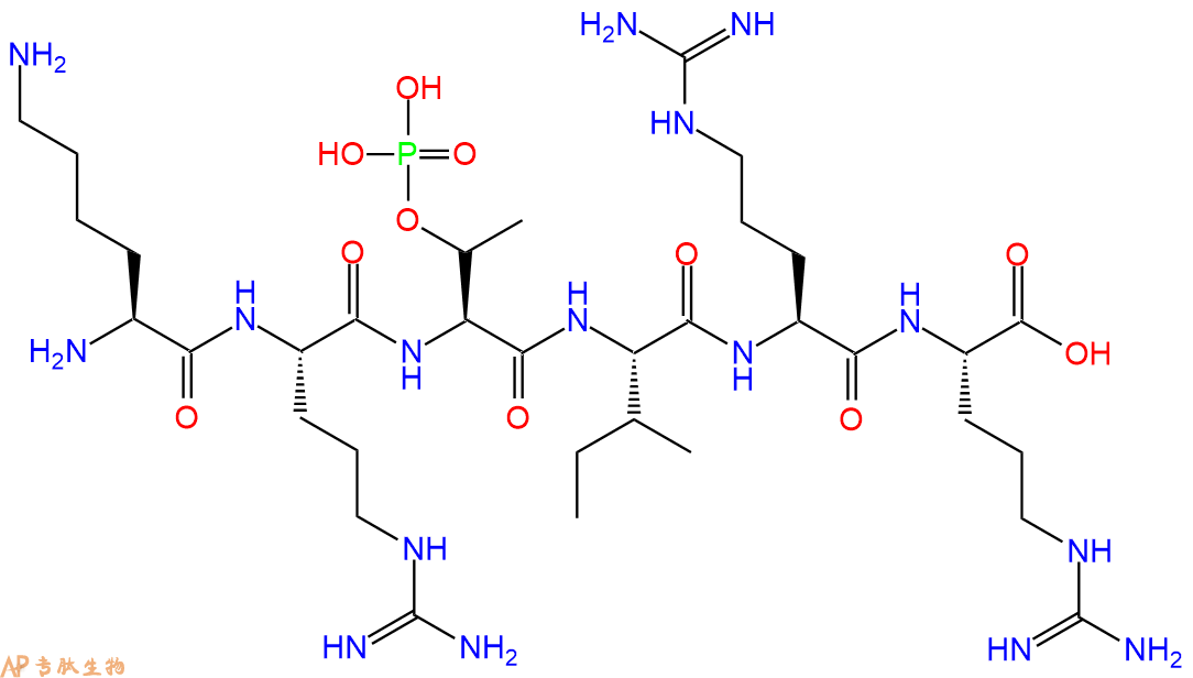 专肽生物产品H2N-Lys-Arg-pThr-Ile-Arg-Arg-COOH