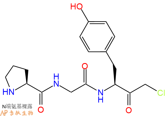 专肽生物产品H2N-Pro-Gly-Tyr-CMK