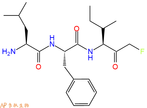 专肽生物产品H2N-Leu-Phe-Ile-FMK