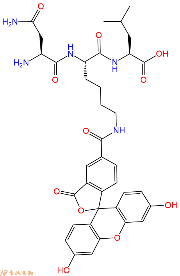 专肽生物产品H2N-Asn-Lys(5Fam)-Leu-COOH