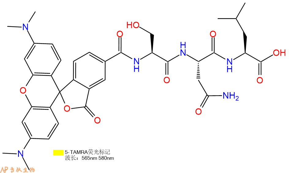 专肽生物产品5TAMRA-Ser-Asn-Leu-COOH