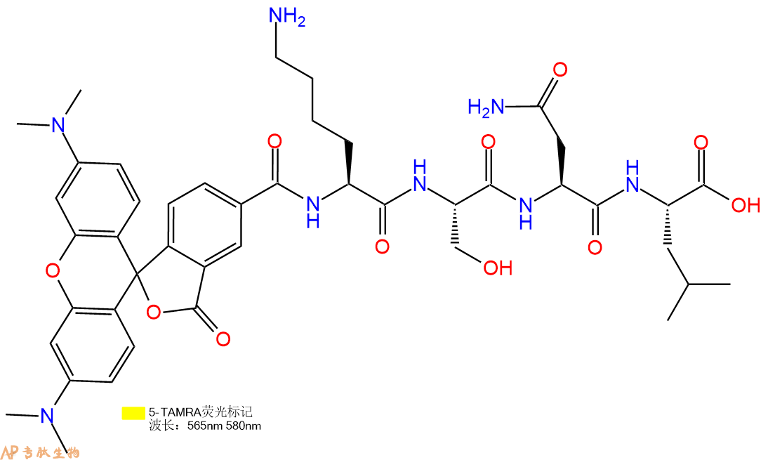 专肽生物产品5TAMRA-Lys-Ser-Asn-Leu-COOH