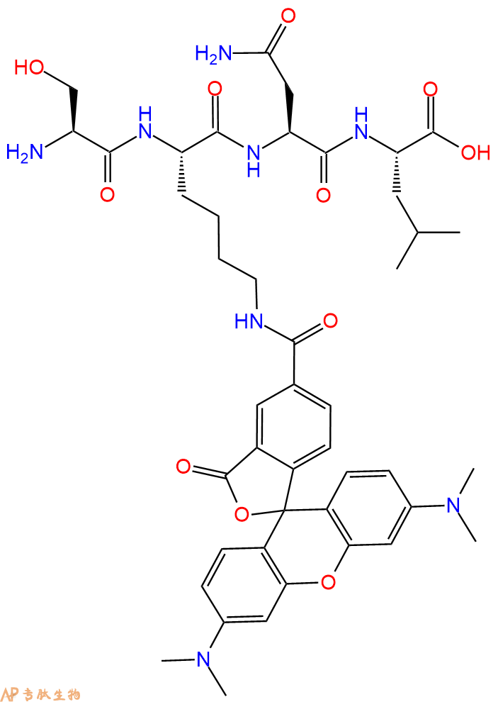 专肽生物产品H2N-Ser-Lys(TAMRA)-Asn-Leu-COOH