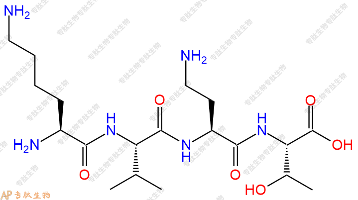 专肽生物产品H2N-Lys-Val-Dab-Thr-COOH