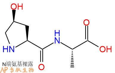 专肽生物产品H2N-Hyp-Ala-COOH