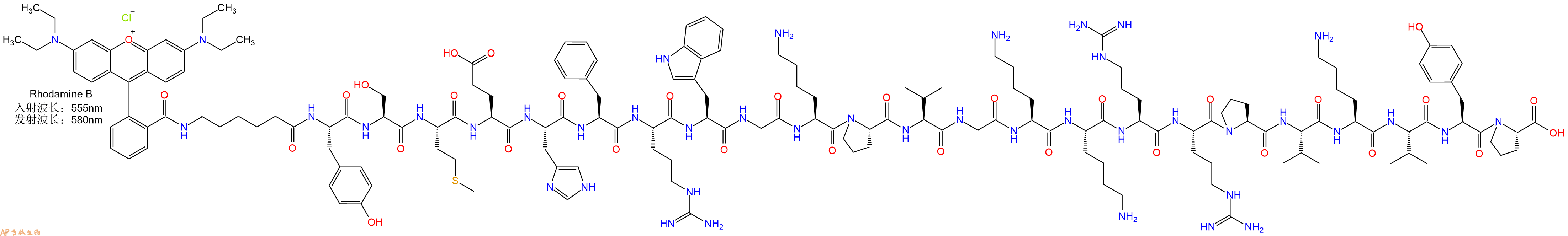 专肽生物产品RhodamineB-Ahx-Tyr-Ser-Met-Glu-His-Phe-Arg-Trp-Gly-Lys-Pro-Val-Gly-Lys-Lys-Arg-Arg-Pro-Val-Lys-Val-Tyr-Pro-COOH