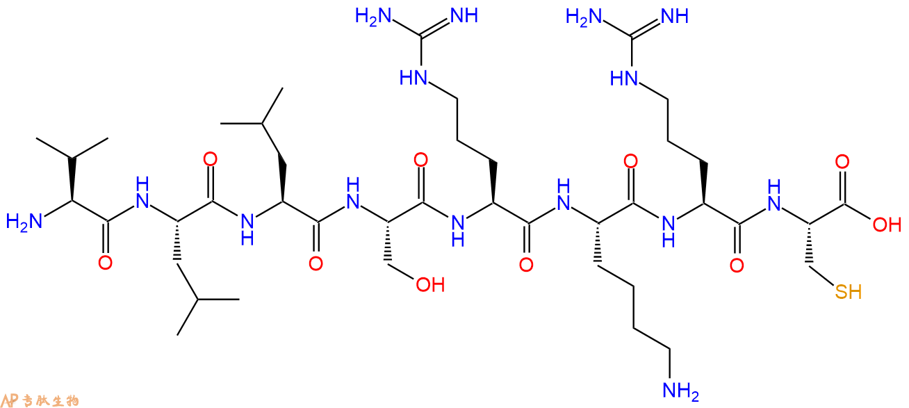 专肽生物产品H2N-Val-Leu-Leu-Ser-Arg-Lys-Arg-Cys-COOH