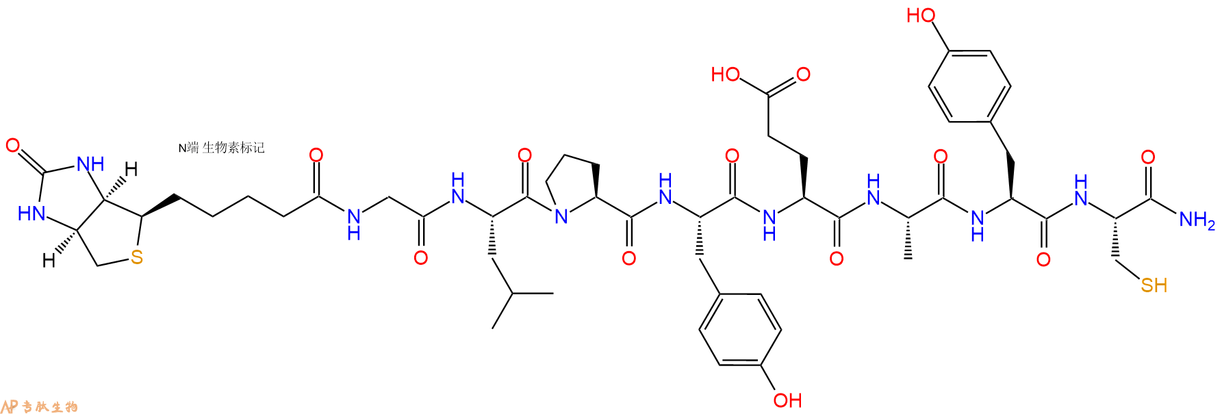 专肽生物产品Biotin-Gly-Leu-Pro-Tyr-Glu-Ala-Tyr-Cys-NH2