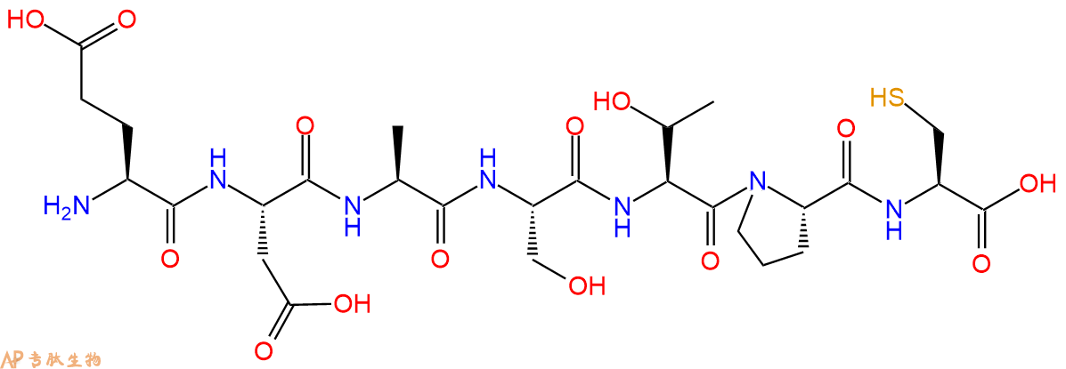 专肽生物产品H2N-Glu-Asp-Ala-Ser-Thr-Pro-Cys-COOH